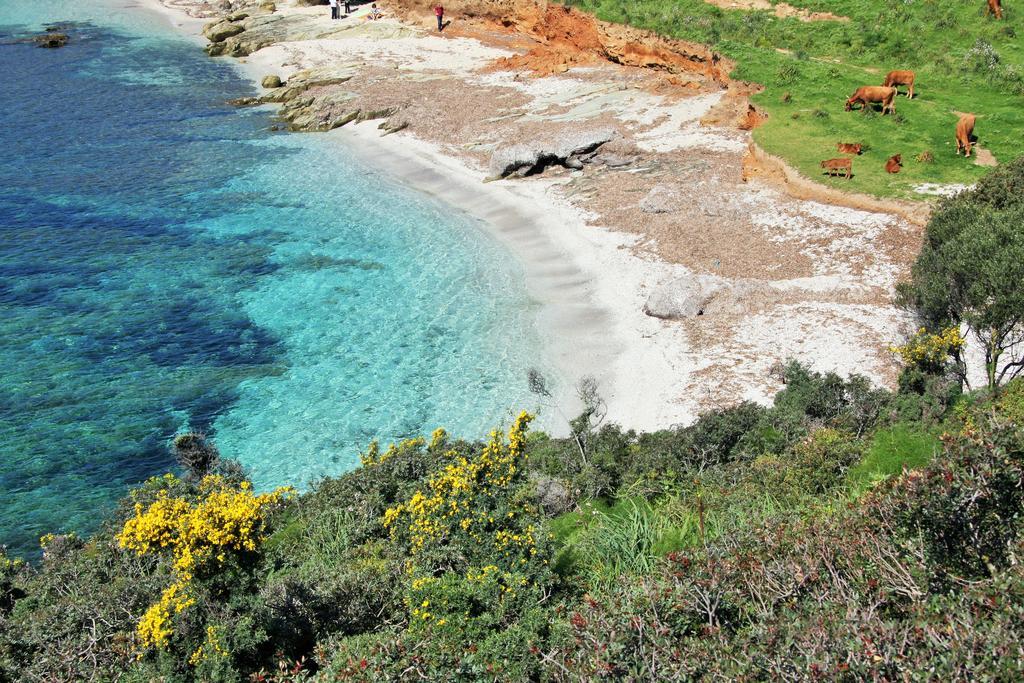 Agriturismo S'Arxola Villa Teulada Eksteriør bilde