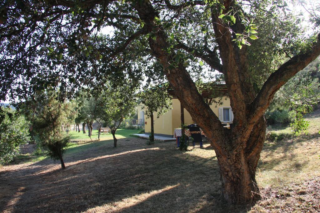 Agriturismo S'Arxola Villa Teulada Eksteriør bilde